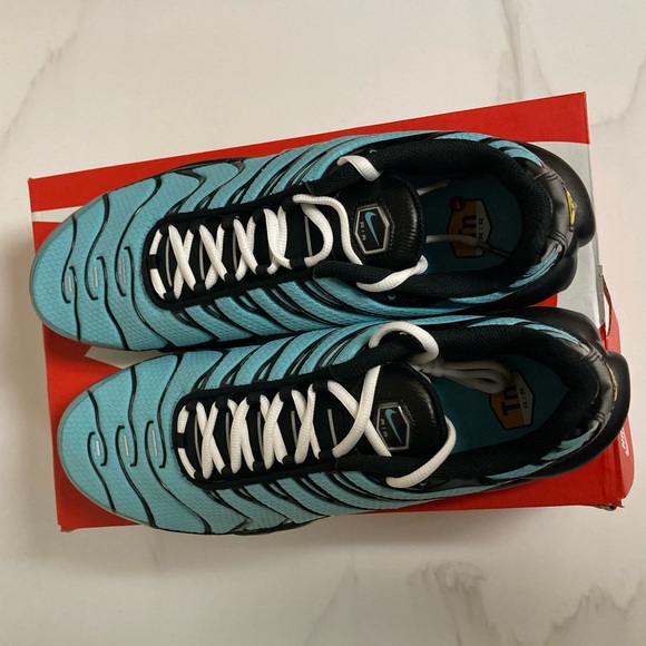 Black & Blue NIKE Air Max Plus (13) - Picture 3 of 3